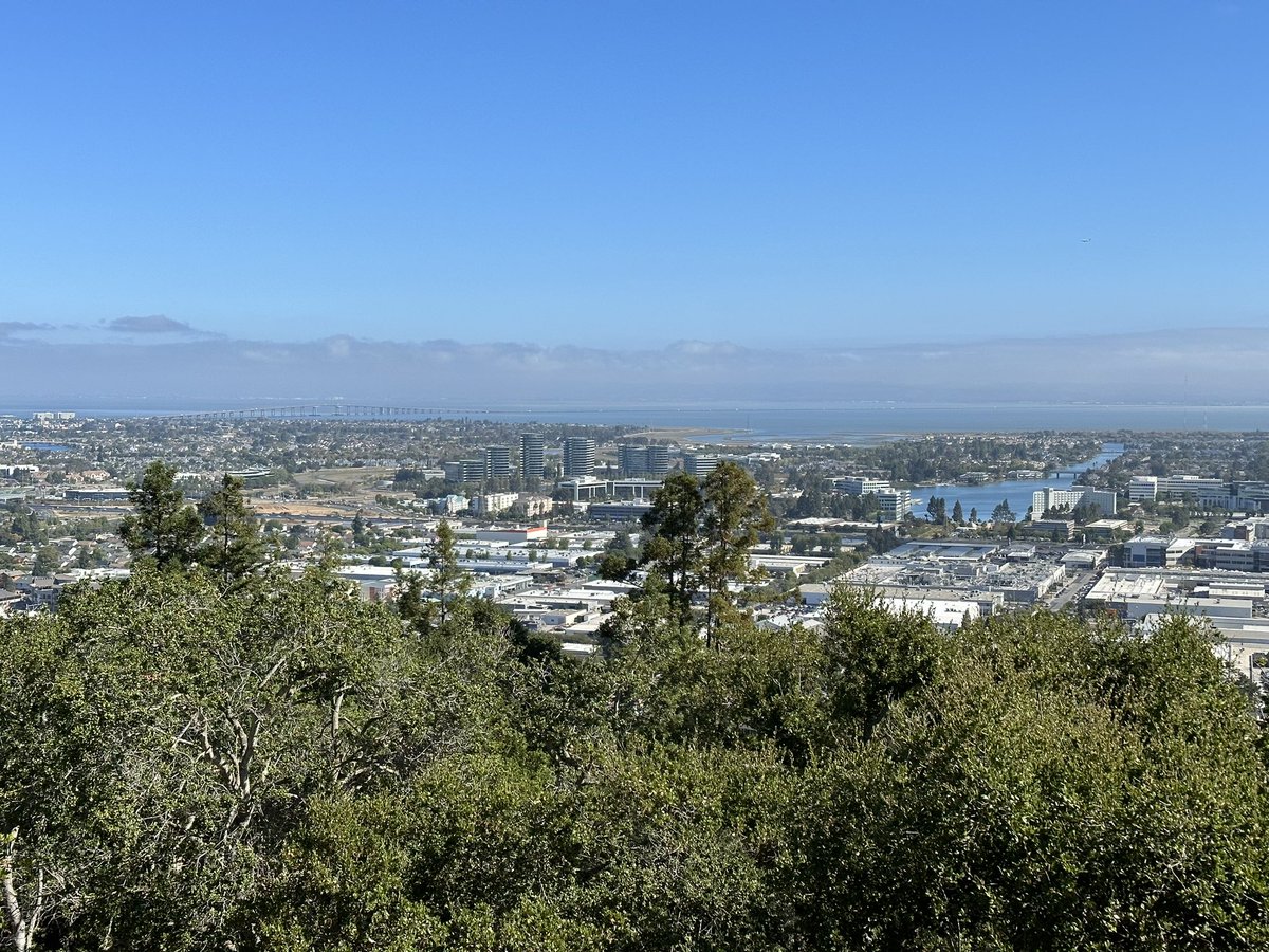 John Lister tweet media