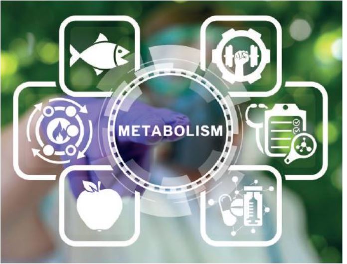 cuidate_life's tweet photo. Descubrimos las diferencias entre edad metabólica y biológica con la qyuda de Alejandro Cánovas  nutricionista del Royal Hideaway Sancti Petri https://t.co/GTdTuy3l5o https://t.co/W9QE2AzEXi