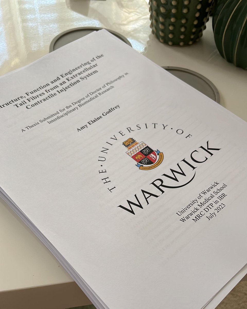 Amy Godfrey tweet media