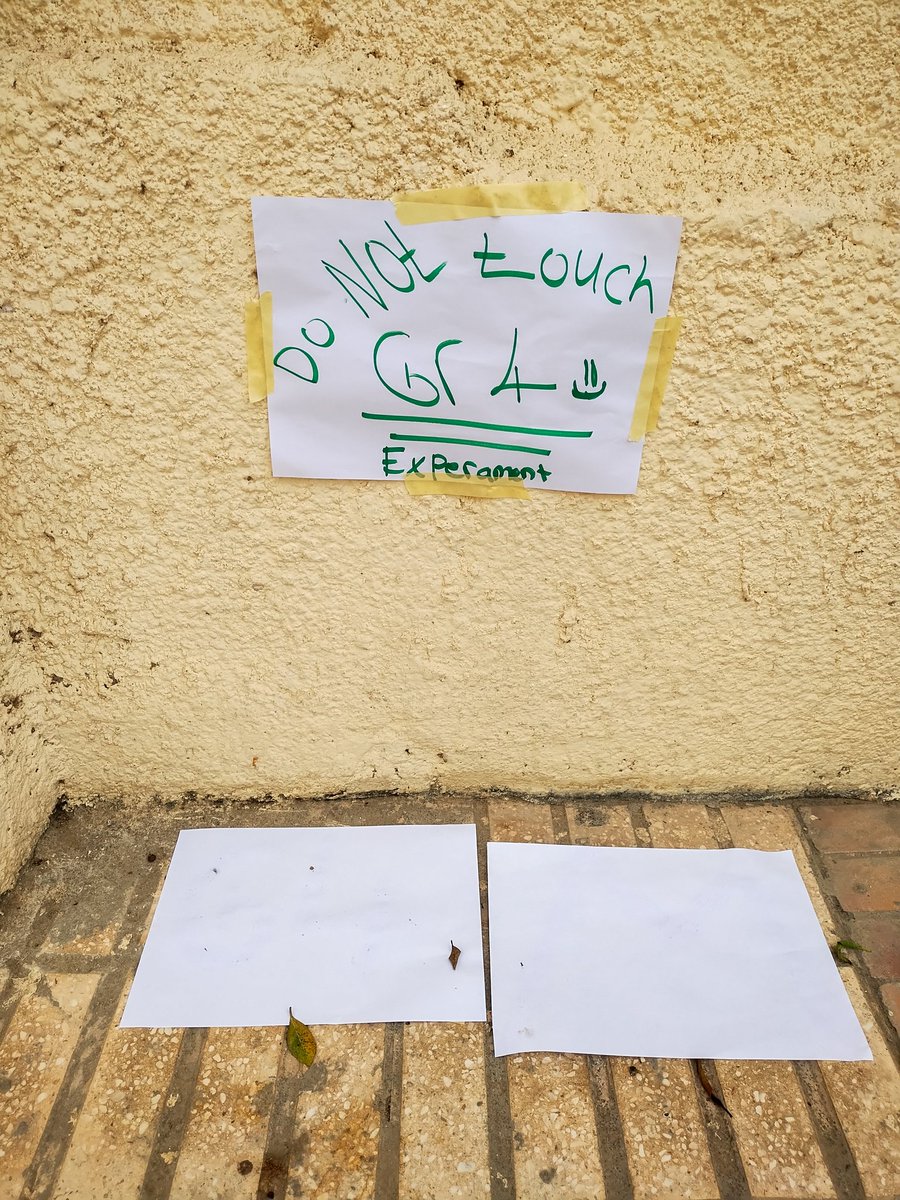 Today's air quality was too bad for outdoor recess. I heard, "How will we know when the air is safe enough to play outside?" Students collected Air Quality Index data, observed dust around campus, and created their own tests to find out more. #authenticlearning #inquiry