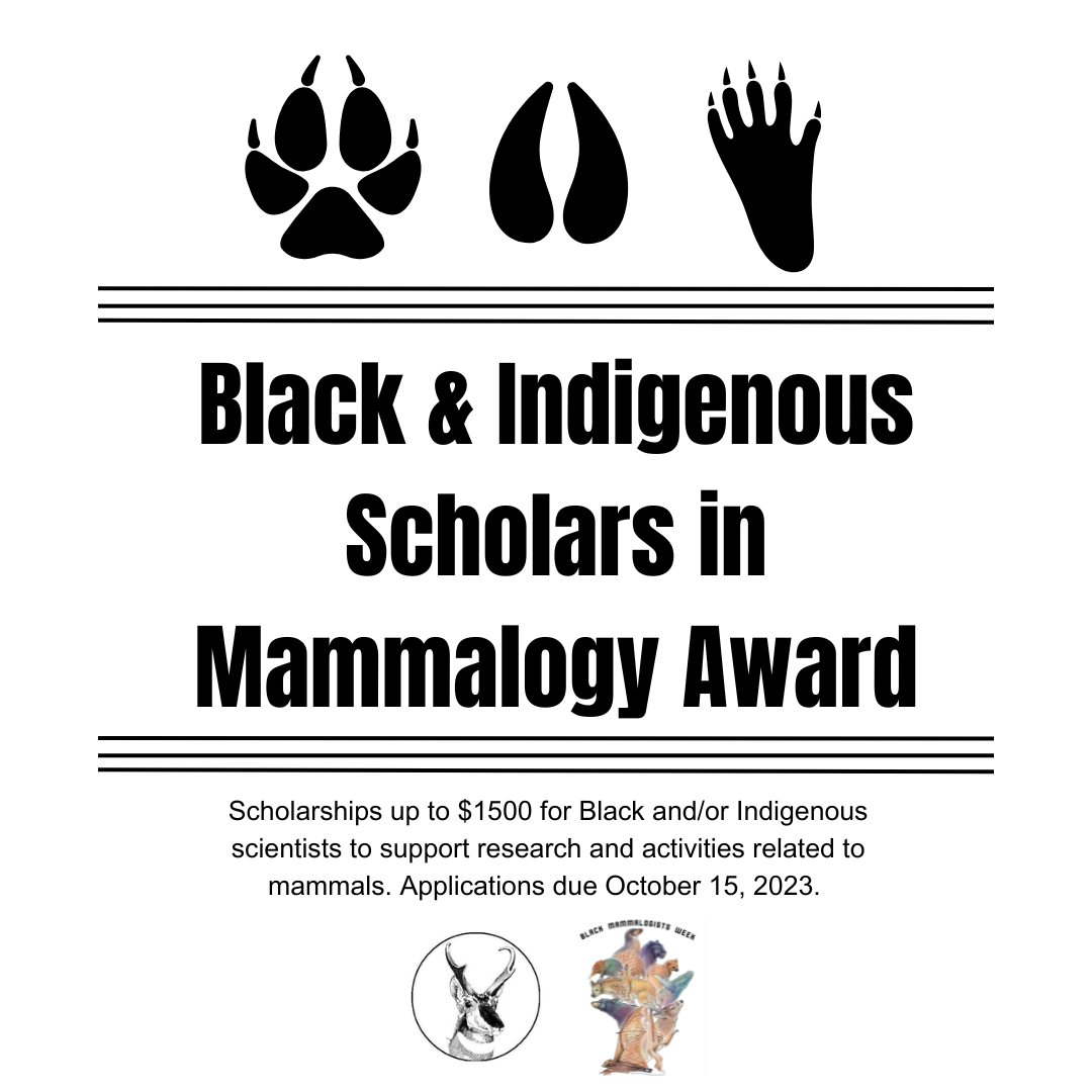 Black and Indigenous Scholars in Mammalogy Award is accepting applications! Awards of up to $1,500 to support research or activities relating to mammals. Apply here! mammalsociety.org/form/black-ind…