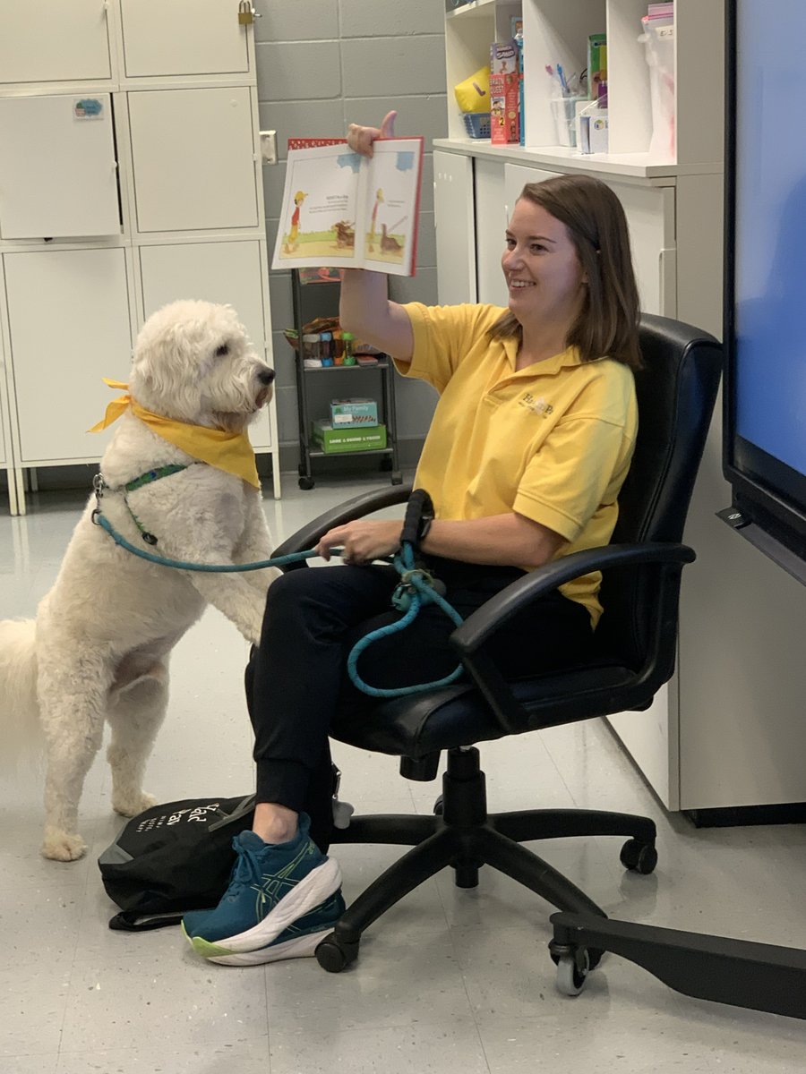 HandinPawAL's tweet photo. Harriet and Herbert had a great first School's Best Friend visit at @mtnbrookjh 🚌🎓🐾The School's Best Friend program works with Special Education teachers to enhance classroom instruction for exceptional students.
#handinpaw #animalassistedtherapy #schoolsbestfriend https://t.co/pZIWw4Pjeo