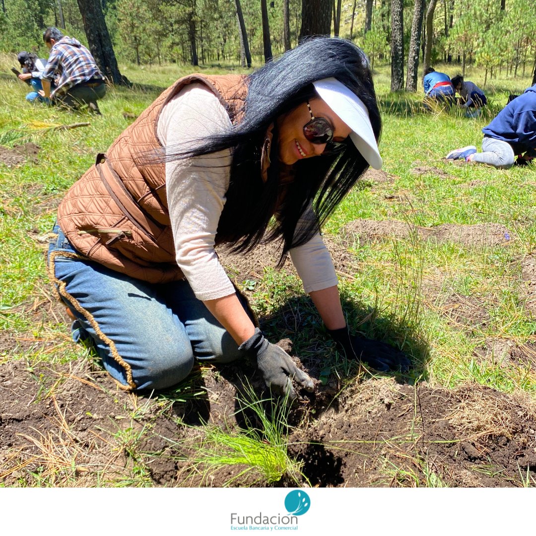 Fundacion_EBC's tweet image. 🌳💚 ¡Unidos por un futuro más verde! 💚🌳

Gracias a Reforestamos México y a todos los que hicieron posible este increíble día de reforestación. Sigamos cuidando de nuestro hermoso planeta. 🌳💚

#responsabilidadsocial #reforestacion #planetaverde