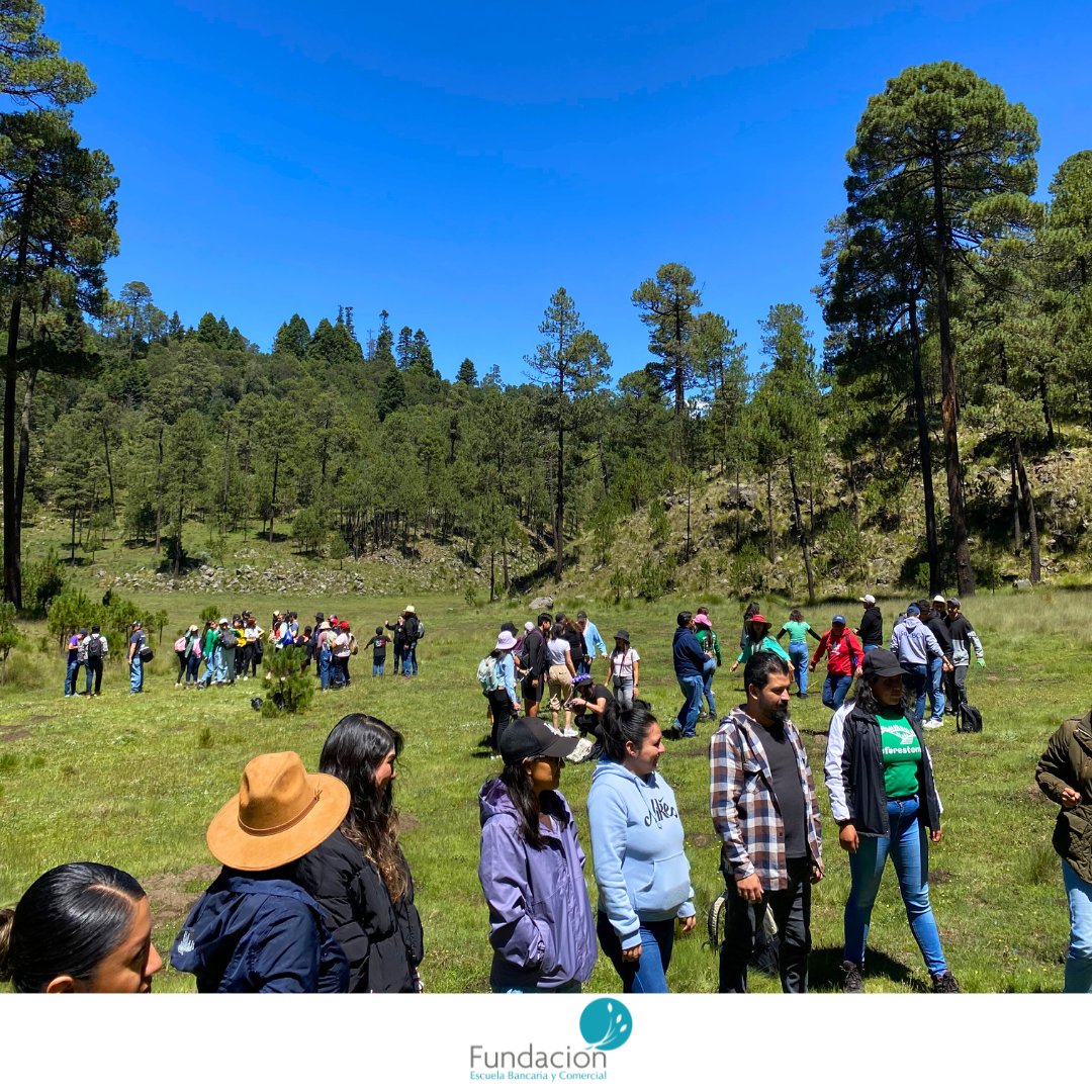 Fundacion_EBC's tweet image. 🌳💚 ¡Unidos por un futuro más verde! 💚🌳

Gracias a Reforestamos México y a todos los que hicieron posible este increíble día de reforestación. Sigamos cuidando de nuestro hermoso planeta. 🌳💚

#responsabilidadsocial #reforestacion #planetaverde