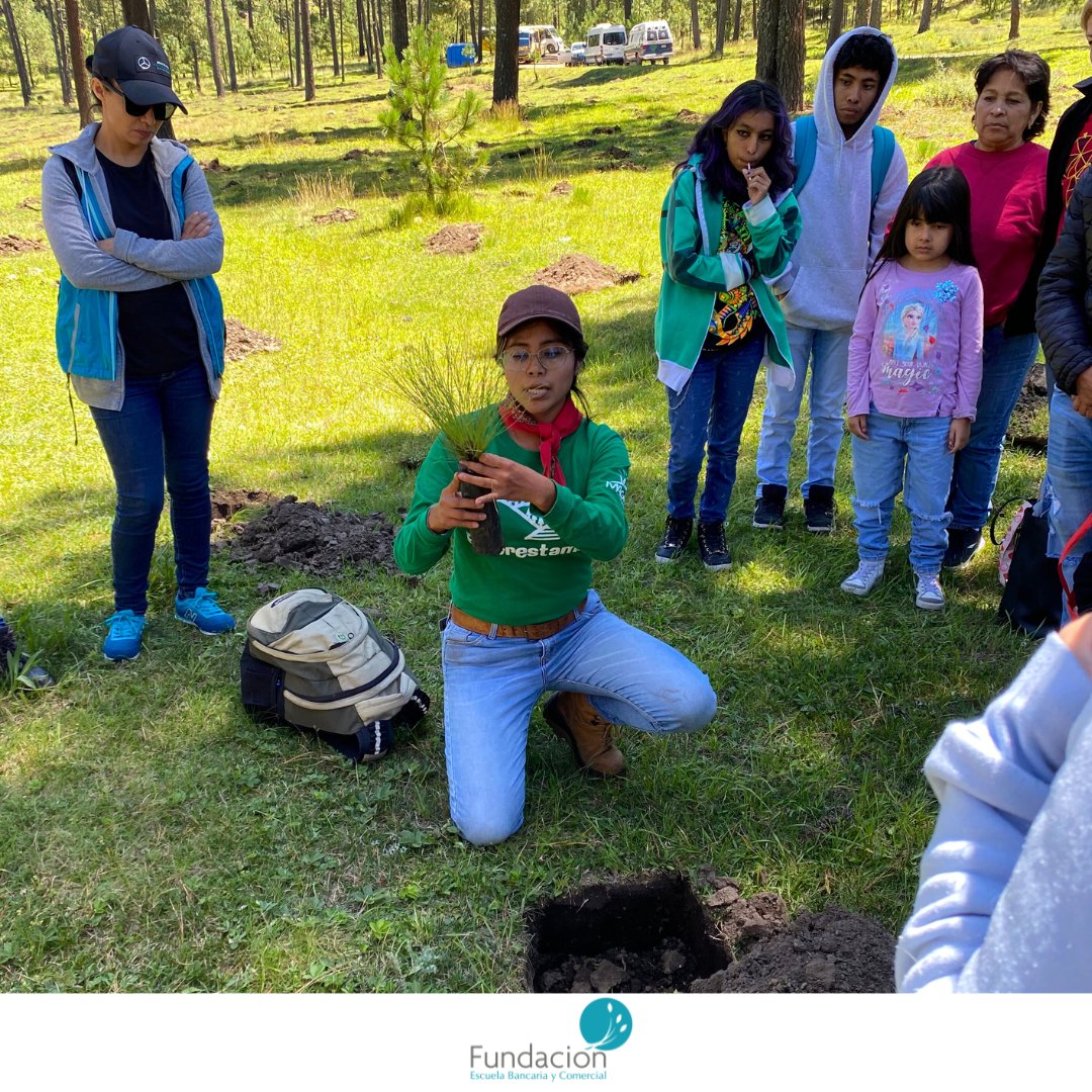 Fundacion_EBC's tweet image. 🌳💚 ¡Unidos por un futuro más verde! 💚🌳

Gracias a Reforestamos México y a todos los que hicieron posible este increíble día de reforestación. Sigamos cuidando de nuestro hermoso planeta. 🌳💚

#responsabilidadsocial #reforestacion #planetaverde
