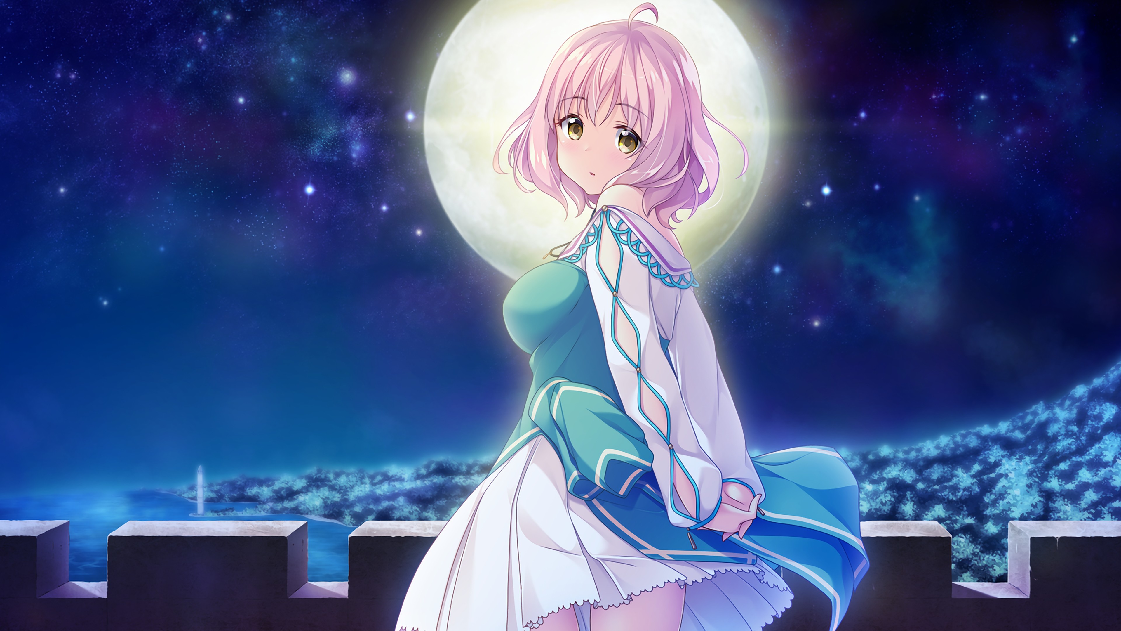 ディヴァインクロス ハーレムキングダム ソフィーヤ SEC PRカード ディヴァインクロス ハーレムキングダム ソフィーヤ SEC PR
