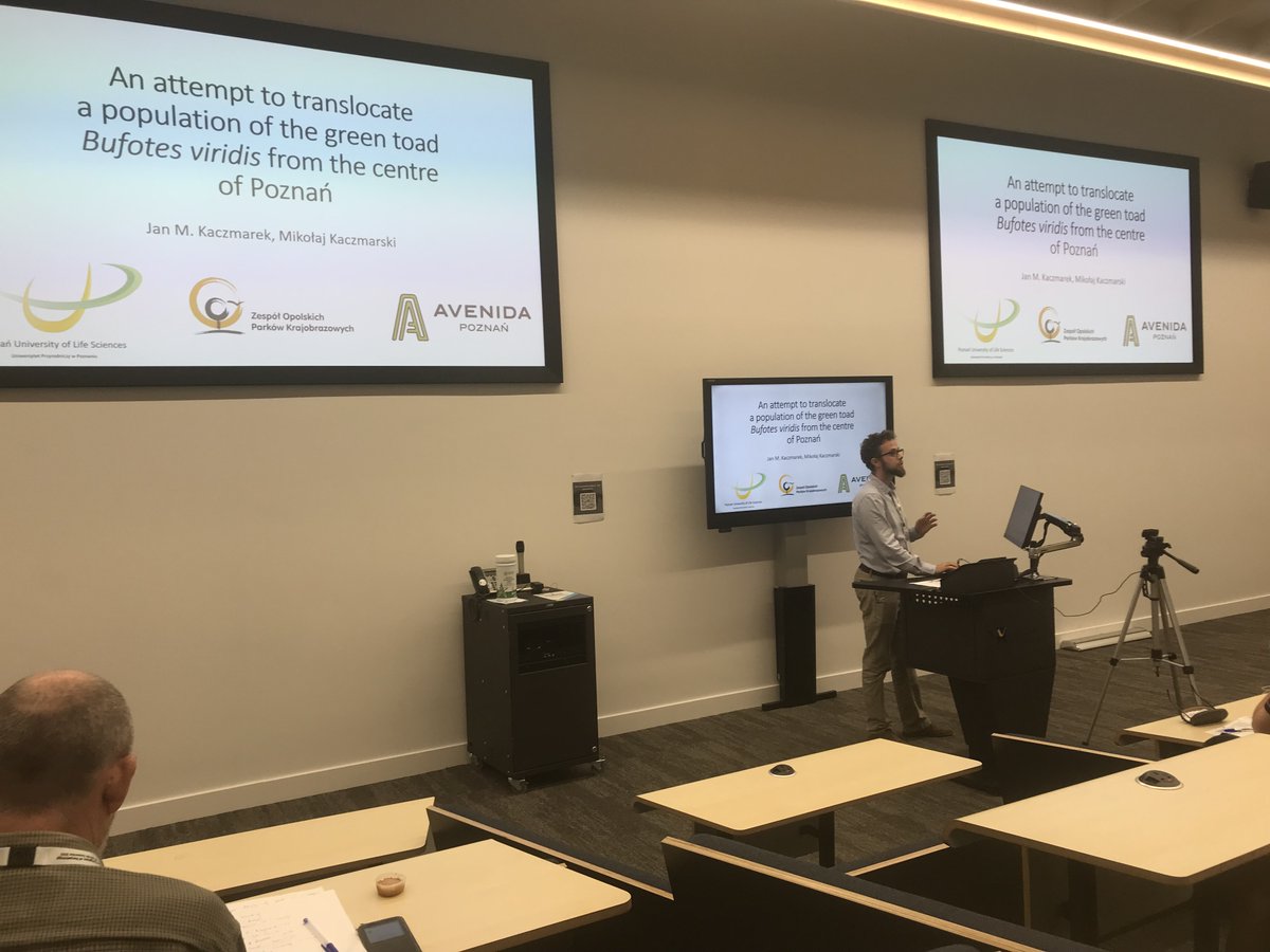 MrTraszka's tweet photo. 🐍We presented the results of our projects in #Poznań @up_poznan, including the occurrence of #amphibians in green wedges, the course of the translocation of green toad #Bufotes viridis & the role of black colour in common #toad tadpoles #Bufo bufo @wlv_uni #herpsci #herpetology https://t.co/F7riIYTyo0
