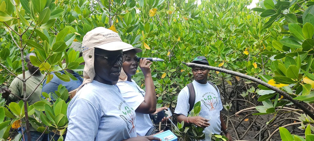 WetlandsIntEA's tweet photo. Exciting and quite a memorable day 2 training on Community Based Ecological Mangrove Restoration in Mombasa in #mangroves at Miritini with @KeForestService, @KEFRIHQ @KmfriResearch and group sessions to cement lessons from day 1
#RootsOfHope  #WeNeedWetlands https://t.co/Cse29j15KG