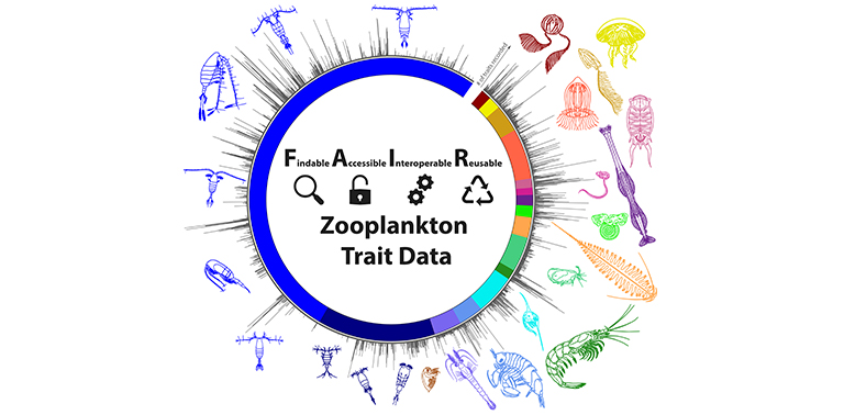 LifeWatch ERIC (@lifewatcheric) on Twitter photo 🗣️ Join the 7th <a href="/Zoop_Symposium/">Zooplankton Symposium</a> in Hobart, Australia!
📃 Submit your abstract in implementing #FAIR principles and best practices of that zooplankton trait data by September 30 and present your work at the symposium.
Learn more ➡️ bit.ly/3Lgx4Bp
#ZPS7 🗣️ Join the 7th <a href="/Zoop_Symposium/">Zooplankton Symposium</a> in Hobart, Australia!
📃 Submit your abstract in implementing #FAIR principles and best practices of that zooplankton trait data by September 30 and present your work at the symposium.
Learn more ➡️ bit.ly/3Lgx4Bp
#ZPS7