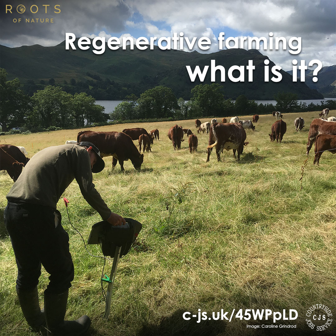 What is regenerative farming? <a href="/wildercarolineG/">Wilderculture</a> tells us that despite it seeming like a new idea, it’s something that's been practised since farming began. Learn about how these principles can increase biodiversity, enrich soils, &amp; improve profits, here: c-js.uk/45WPpLD