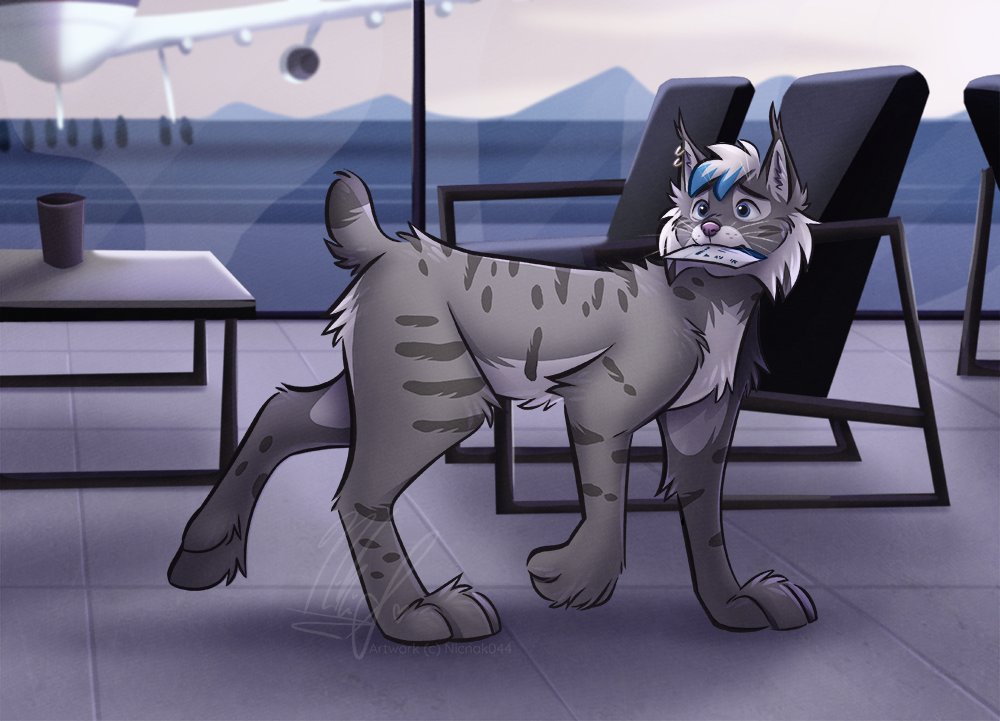 Nervous flyer
<a href="/nicnak044/">Nicnak044 @ bsky</a>