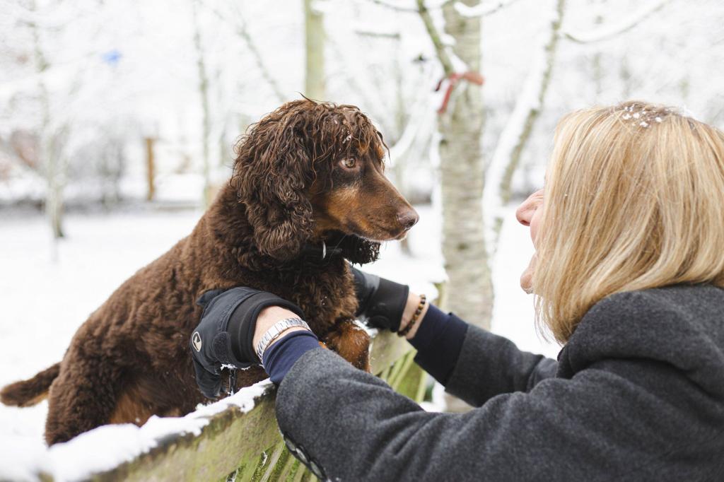 Time for our last Conference speaker of the day, Dr Claire Guest OBE from <a href="/MedDetectDogs/">Medical Detection Dogs</a>. Claire will discuss enhanced understanding for enhanced relationships - helping us further understand our dogs, the world in which they live &amp; their challenges to communication. #ADITogether