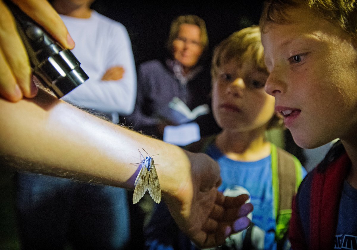 Van 15 - 22 september is de Beleefweek in de Drents-Friese Grensstreek! Een week met bijzondere wandelingen, ontmoetingen en belevenissen voor jong en oud. Check het programma op provincie.drenthe.nl/regionaallands…
Bijvoorbeeld nachtvlinders spotten op het Dwingelderveld.....