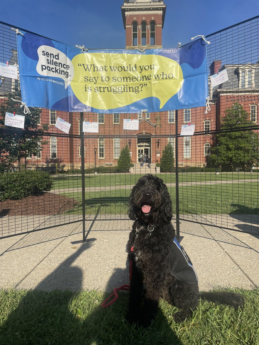 The silence packing exhibit is happening  right now in Woodburn circle until 4pm.

Tae is also here to see you.