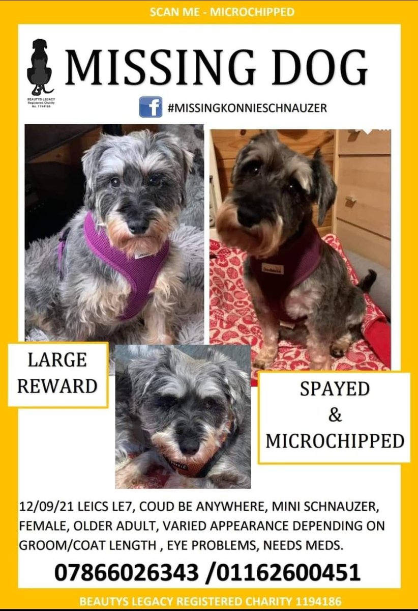 graemegoode's tweet photo. #lostdogslive
2 years today we lost konnie-some one has her and knows something.please share and get her home https://t.co/oSptZQ6uOP