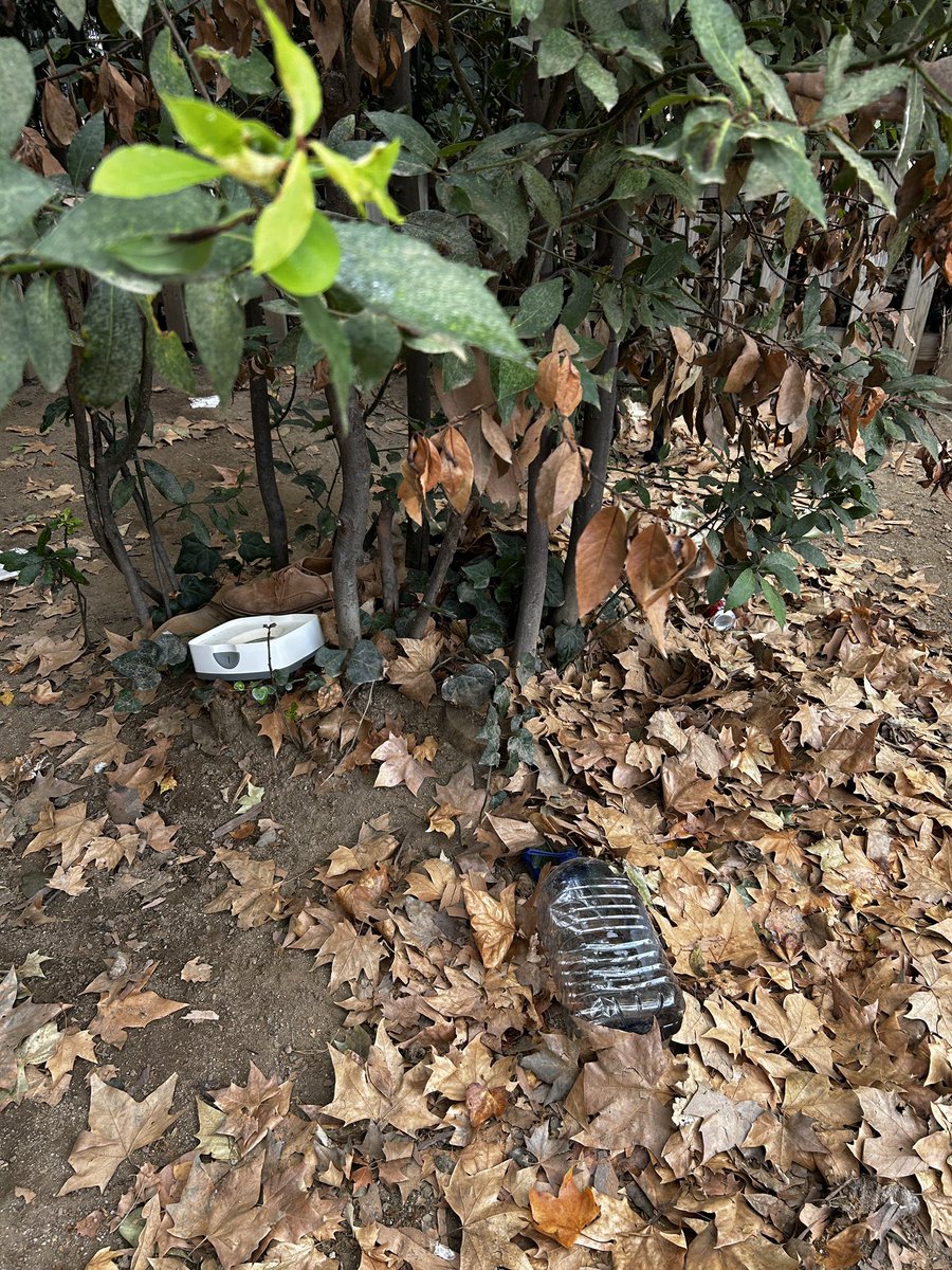 Así están las zonas habilitadas para perros en #Barcelona. Cuatro días y nadie ha limpiado. Se ha llamado a la policía. Ni caso. Prohíben entrar en los parques de la ciudad. Más de 150.000 perros censados. ¿Qué hacemos @bcn_ajuntament @jaumecollboni ? Foto. Turo Park.