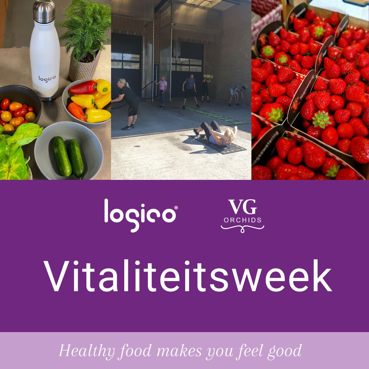 LogicoBv's tweet photo. Afgelopen week draaide volledig om het bevorderen van gezondheid en fitheid binnen ons team. Gedurende deze periode werden onze gewaardeerde collega's in de watten gelegd met heerlijke gezonde hapjes en leuke activiteiten.
#vitaliteitsweek #gezond #logicocolourfulmatch https://t.co/MzDilltVZb