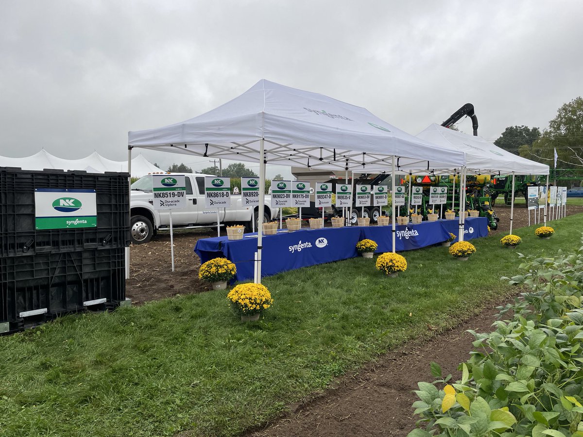 NK® Seeds Canada tweet media