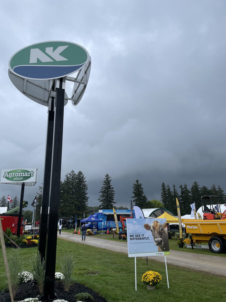 NK® Seeds Canada tweet media