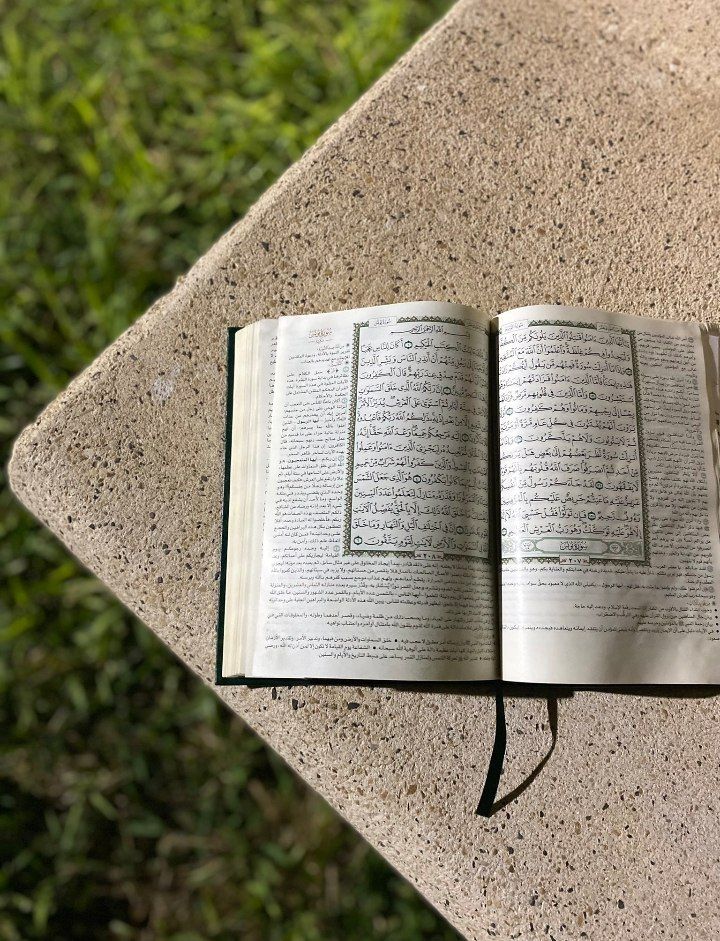 vmm_68's tweet photo. نِعمَ ال��ليسُ مدى حياتِكَ مصحفٌ 
يجلو همومَ النفـسِ والوجدانَ🍃. https://t.co/4dxtB3APUz