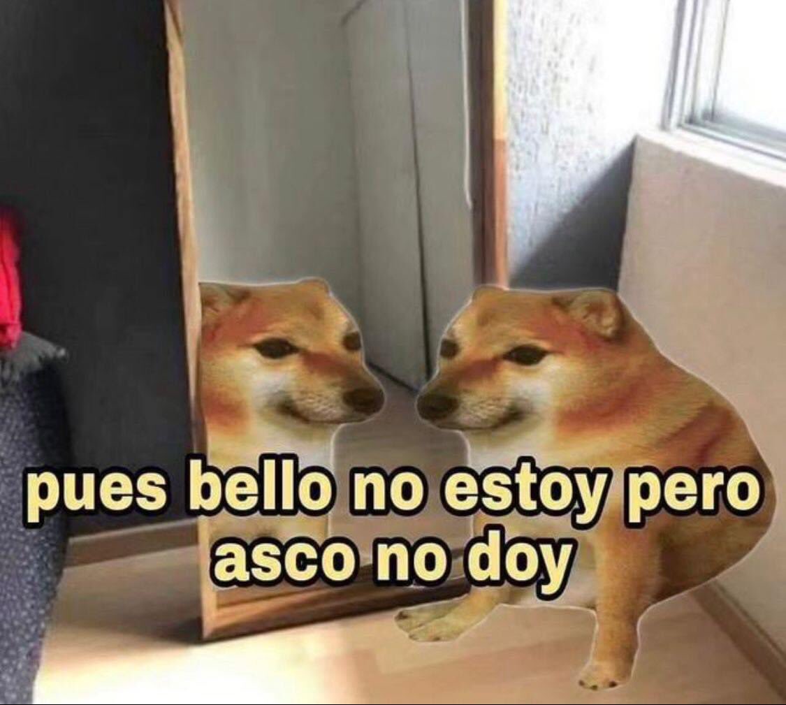 🐶