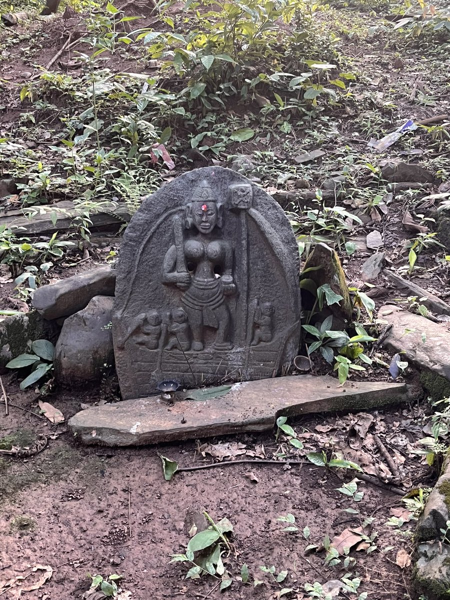 sanjeevsanyal's tweet image. In a sacred grove in the inland forests of Goa, there is an ancient shrine to Nau Devi - the goddess of ocean voyages. We went there today to seek her blessings for our stitched ship project