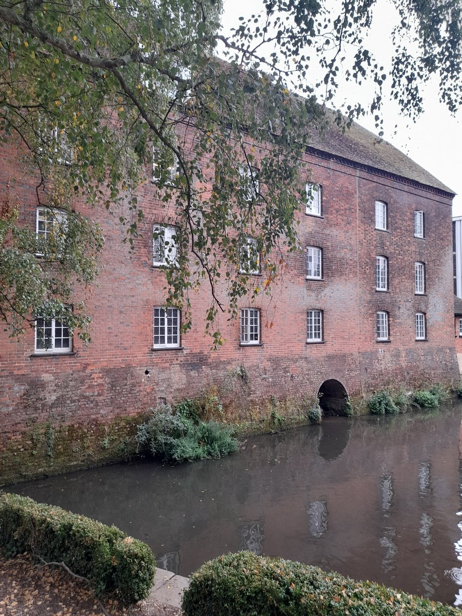 Guildford Town Guides tweet media