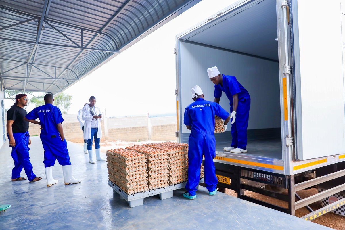 RwandaIndustry's tweet photo. #NIRDAOpenCallsProgram. Firms in Piggery, poultry, animal feed, clay and stone value chains that acquire upgraded equipment will pay 50% of the loan at zero interest rate. This support is in partnership with @EnabelInRwanda . https://t.co/4uwc9z1dj9