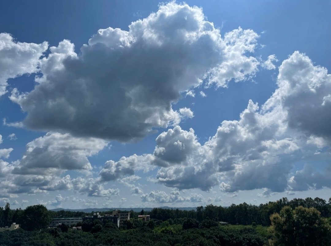 chimmy_0109's tweet photo. #HecticDaysWithJoon #SkyForNamjoon #NamjoonDay https://t.co/eS5mSXF9SA