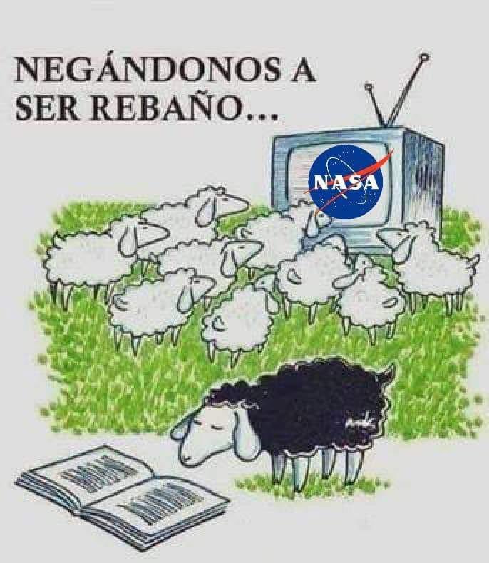 regleinam's tweet photo. ¡No seas igual a todo, se Tierraplana! #tierraplana #flatearth #desprogramate #desobedece #despierta #cuestionatodo #nasalies #nasafarsa #nasafraude #researchflatearth https://t.co/al4yGmi3IH