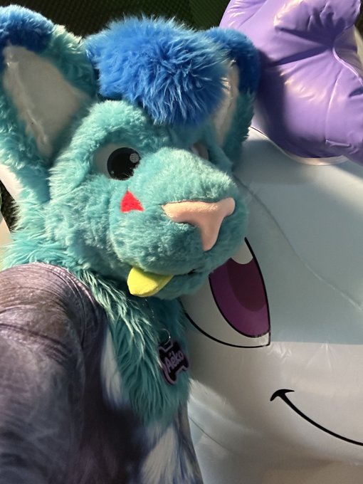 OwO this cat got a new Frien now 😏   Such a cute #Bunnyfox there :3  #infla #inflafur #murrsuit #ad https://t<a href="/tag/ad"class="tags"><span>#ad</span></a><a href="/tag/infla"class="tags"><span>#infla</span></a><a href="/tag/murrsuit"class="tags"><span>#murrsuit</span></a><a href="/tag/bunnyfox"class="tags"><span>#bunnyfox</span></a><a href="/tag/inflafur"class="tags"><span>#inflafur</span></a>