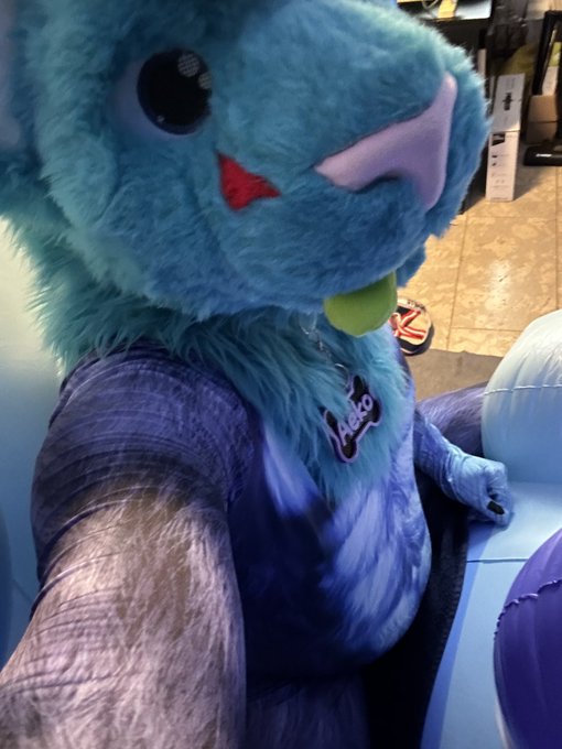 OwO this cat got a new Frien now 😏   Such a cute #Bunnyfox there :3  #infla #inflafur #murrsuit #ad https://t<a href="/tag/ad"class="tags"><span>#ad</span></a><a href="/tag/infla"class="tags"><span>#infla</span></a><a href="/tag/murrsuit"class="tags"><span>#murrsuit</span></a><a href="/tag/bunnyfox"class="tags"><span>#bunnyfox</span></a><a href="/tag/inflafur"class="tags"><span>#inflafur</span></a>