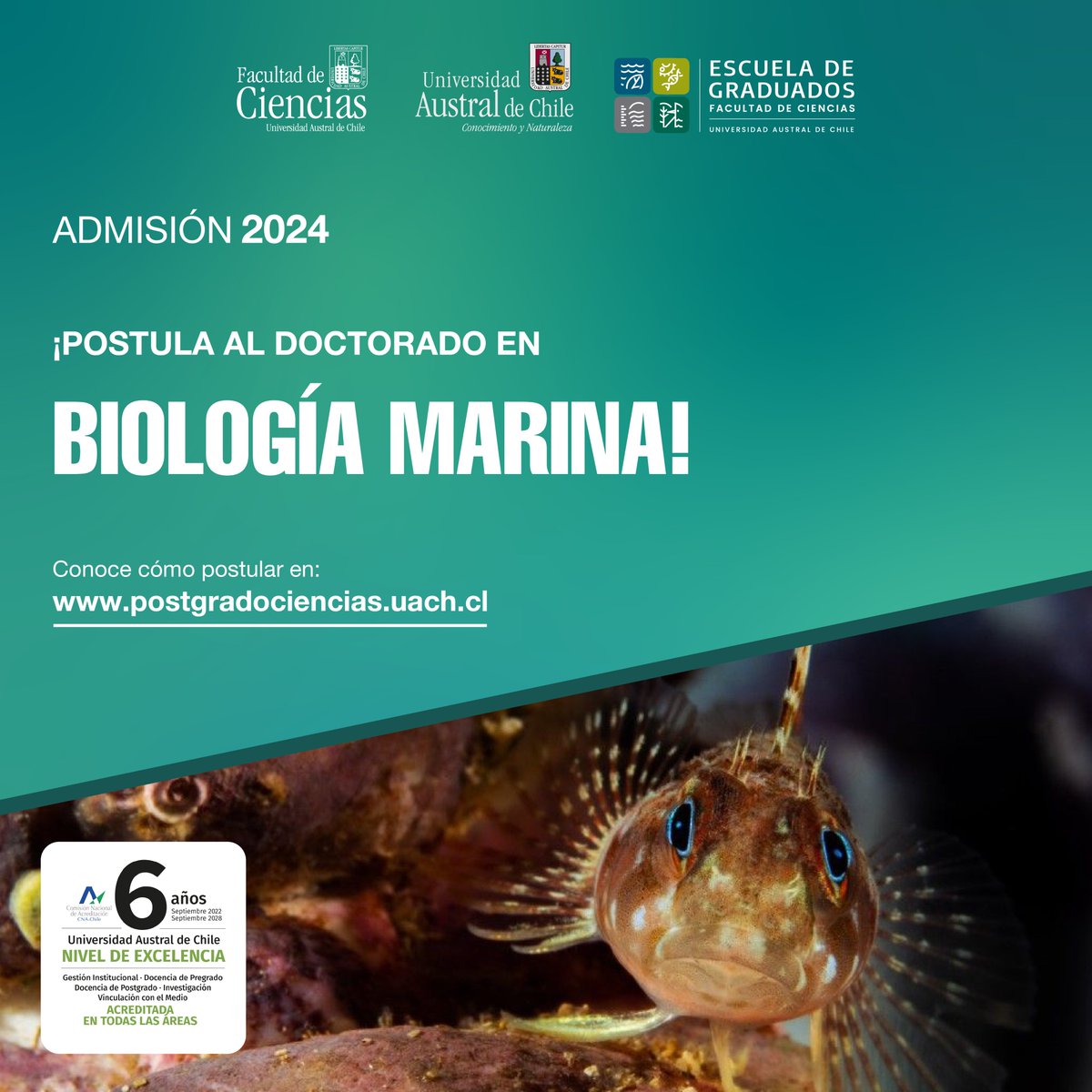Postgrado Facultad de Ciencias UACh tweet media