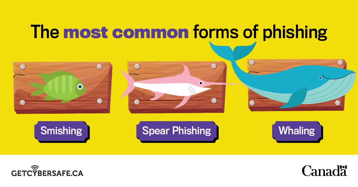 GetCyberSafe's tweet photo. Smishing, spear phishing, and whaling aren't tactics used by your local fish monger to secure their catch of the day. They are, however, the most common forms of online phishing. 

#GetCyberSafe and learn how to spot the signs here https://t.co/wM52HAz0Fn https://t.co/T1NadjmbBt