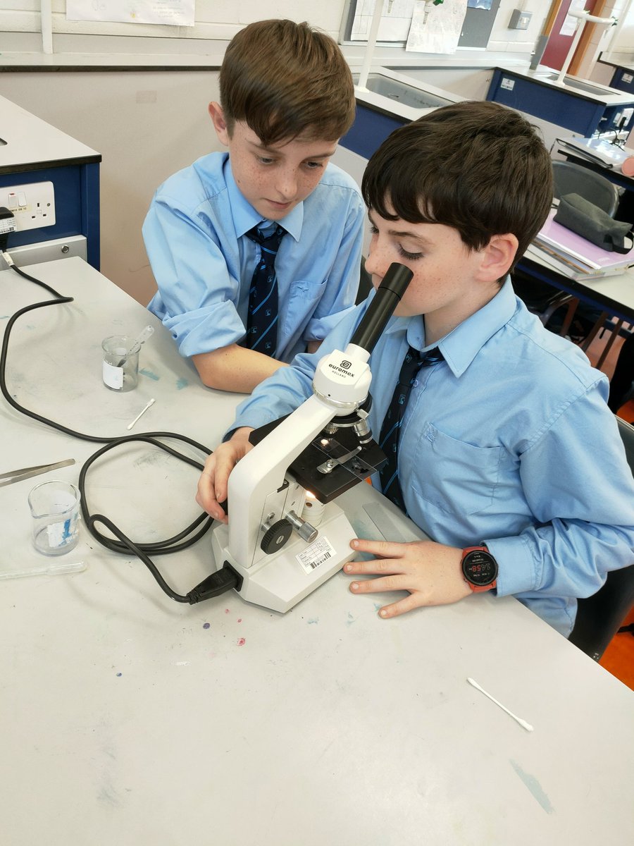 balcsie's tweet photo. 1st year Science students studying animal and plant cells under the microscope #learning #science #BCS https://t.co/ZZtoji8zXC