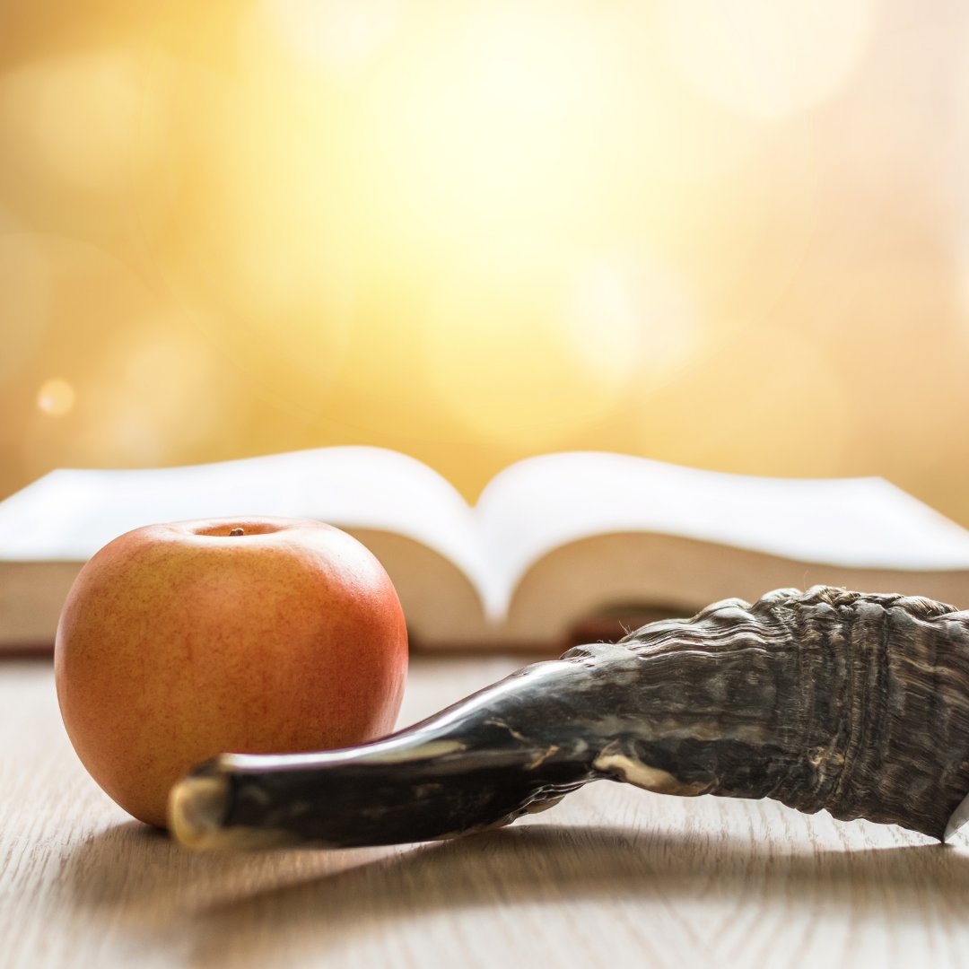 Mayberg Foundation tweet media