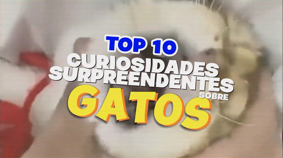 PutsGrilo's tweet image. Top 10 Curiosidades Surpreendentes sobre Gatos: Você Não Vai Acreditar na #7! - PutsGrilo! zurl.co/tga6