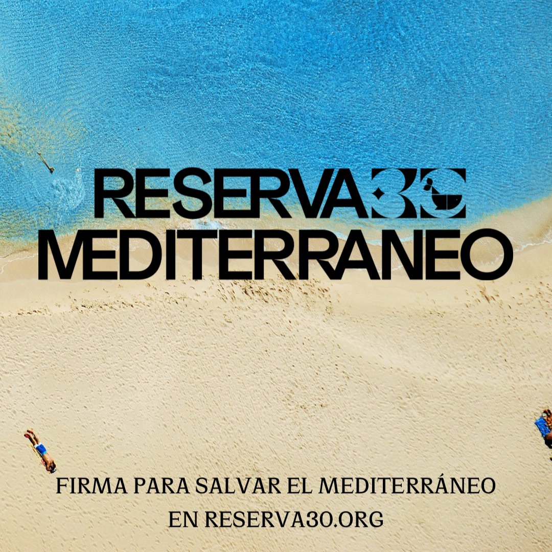 BBlueFormentera's tweet photo. Desde #BeBlue nos unimos y apoyamos la campaña #Reserva30Mediterráneo

💪 Con un único objetivo: conseguir 500k firmas para proteger el 30% del Mediterráneo antes del 2030.
 
Firma ya en: https://t.co/5ncphVdRMb 

#HazQueTuViajeCuente

https://t.co/duPitf3w84💪 https://t.co/kr2ADwHKi5