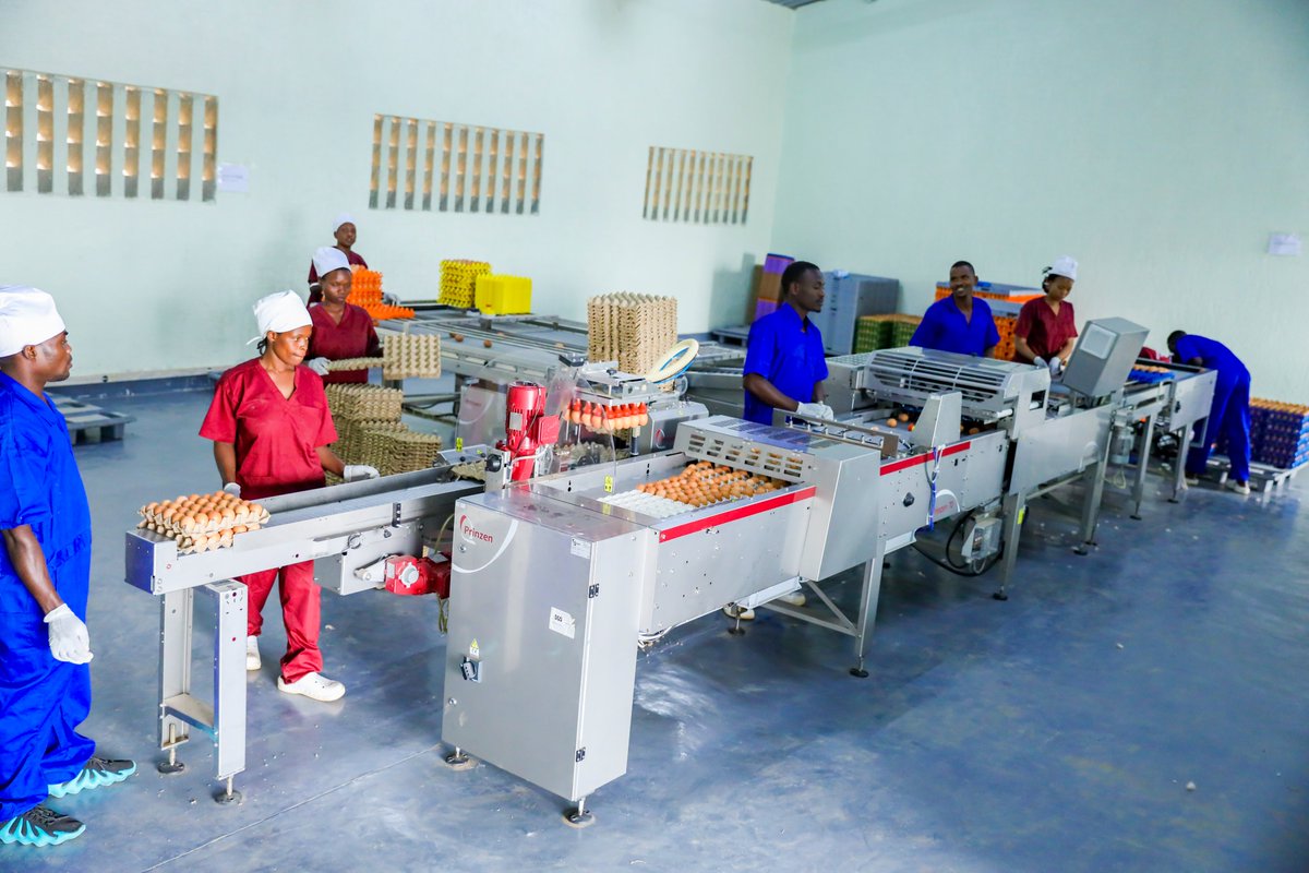 RwandaIndustry's tweet photo. Muri rusange muri #NIRDAOpenCallsProgram, NIRDA yafashije inganda zitandukanye ziri mu mpererekane nyongeragaciro (Value chains) 8 kuri ubu inyinshi zikaba zaratangiye gukoresha izi mashini n’ibindi bikoresho. https://t.co/7ycFwJir1u