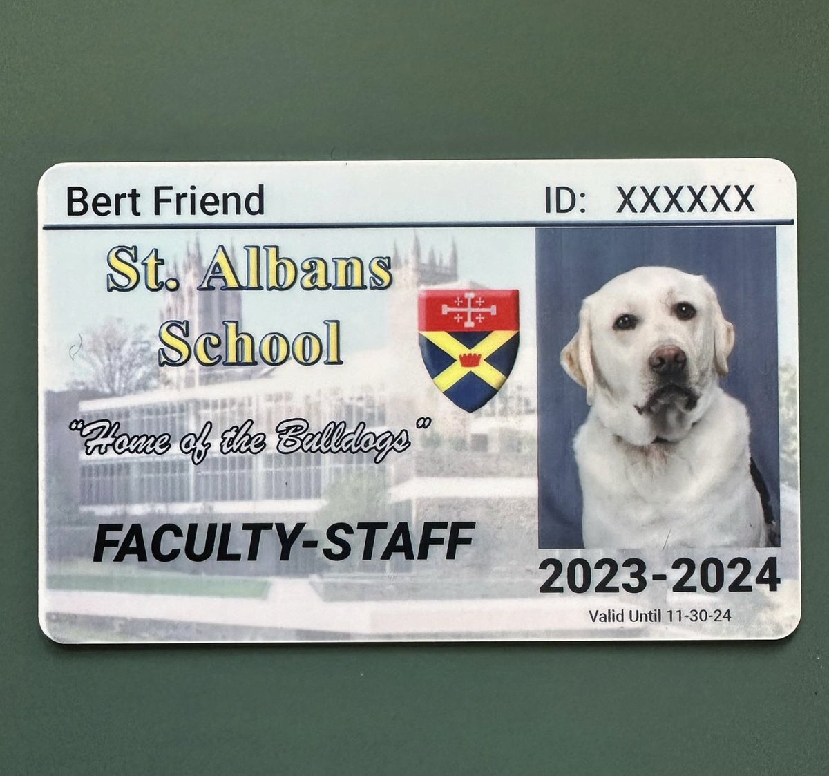 Just another day on the job for our school dog, Bert.