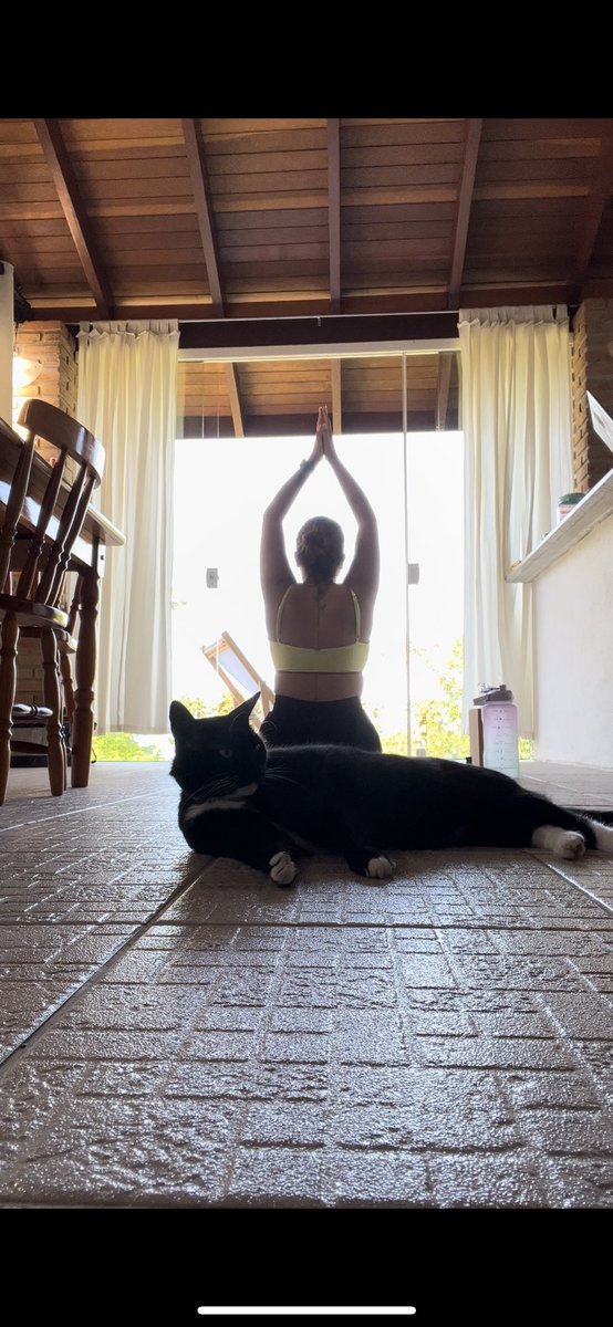 yoga com pet 🐱