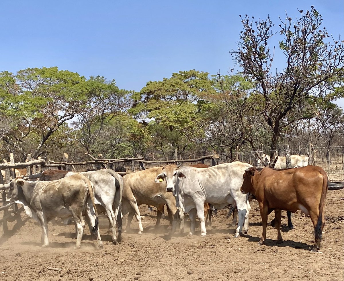 Klipranch tweet media