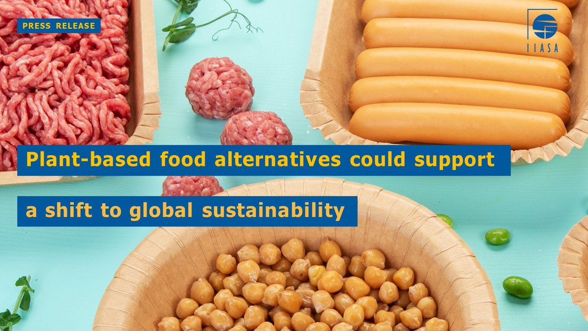 Gund Institute for Environment (@gundinstitute) on Twitter photo STUDY: Replacing 50% of meat & dairy with plant-based alternatives can:
🚨Lower global ag emissions by 31%
🚨Save forests
🚨Improve nutrition
“We need more than Meatless Mondays to tackle emissions," says #UVM's Eva Wollenberg.
➡️New in <a href="/NatureComms/">Nature Communications</a>: go.uvm.edu/a0tbm STUDY: Replacing 50% of meat & dairy with plant-based alternatives can:
🚨Lower global ag emissions by 31%
🚨Save forests
🚨Improve nutrition
“We need more than Meatless Mondays to tackle emissions," says #UVM's Eva Wollenberg.
➡️New in <a href="/NatureComms/">Nature Communications</a>: go.uvm.edu/a0tbm