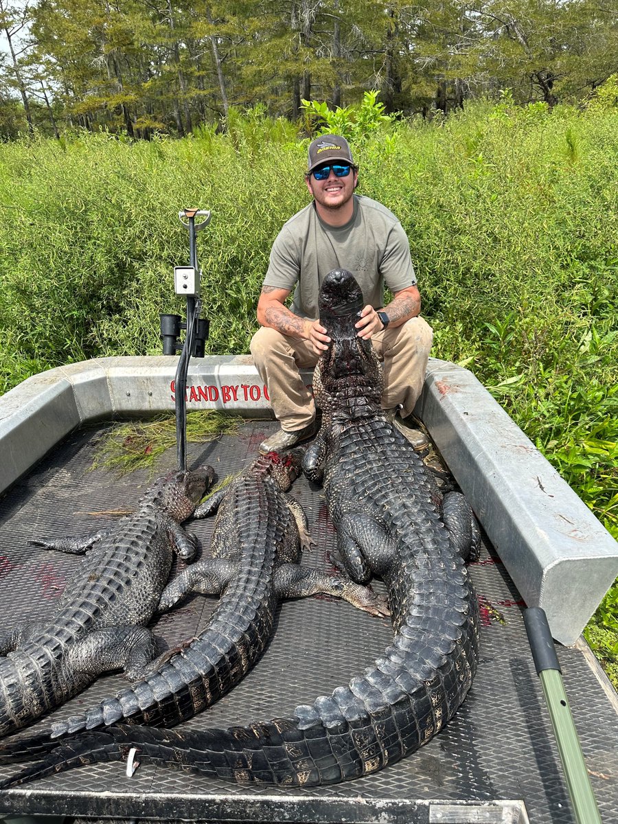 Two 6 footers and a big ole 9 footer!! These guys were caught in Wallace Lake just south of Shreveport! 🐊🐊🐊

Thanks to Nick Burchell for sending these in!