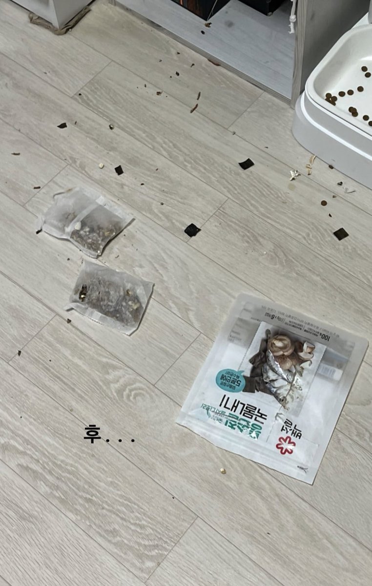 아침에 일어나니, 동생네 호두가 밤새 다시용 멸치팩 한봉지를 다 뜯어 먹었다고 한다. 배불러 식빵도 못굽고 저렇게 뒤집어 누워있었다고..🤦🏻‍♀️