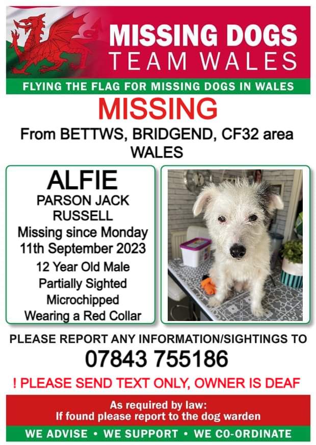 juliagarland73's tweet photo. #Missing #Missingdog owner is #deaf #Missing from #Bettws #Bridgend #CF32 area #Wales ๐ด๓ ง๓ ข๓ ท๓ ฌ๓ ณ๓ ฟ #TeamWales ๐ด๓ ง๓ ข๓ ท๓ ฌ๓ ณ๓ ฟ๐ด๓ ง๓ ข๓ ท๓ ฌ๓ ณ๓ ฟ๐ด๓ ง๓ ข๓ ท๓ ฌ๓ ณ๓ ฟ https://t.co/f7faRhEnnt https://t.co/YNzLTjoSV2