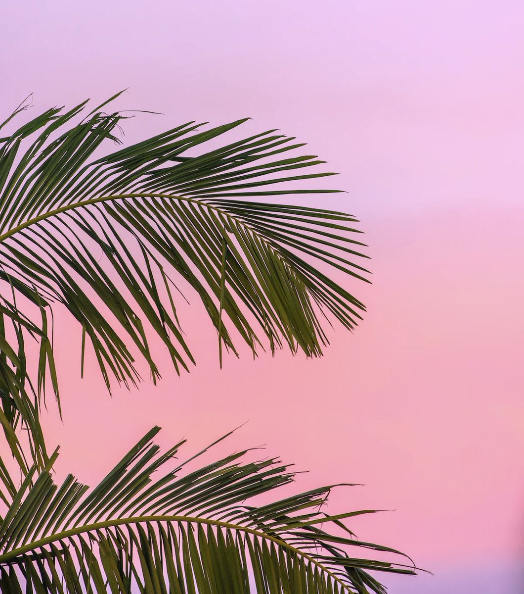 quickg_official's tweet image. 🏖️ Quickg empowers your online presence, but even digital dynamos need a vacation! 😎 Share your best vacation stories and how Quickg helps you shine online when you return! #Quickg #VacationMode #OnlinePresence #Bio #socialmediamarketing