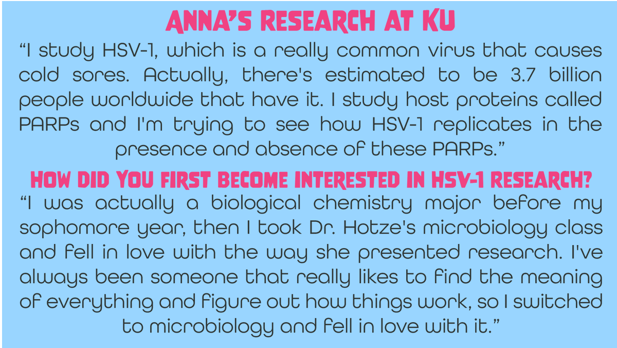 KUbiology's tweet photo. Meet @annaferkul , she's an Undergraduate Biology Student   Researcher &amp; has been doing amazing work in Dr. Davido's Lab! Part 1 of 2.
Read the interview transcript https://t.co/ZQVguo4Wqi https://t.co/ve1INji5CE