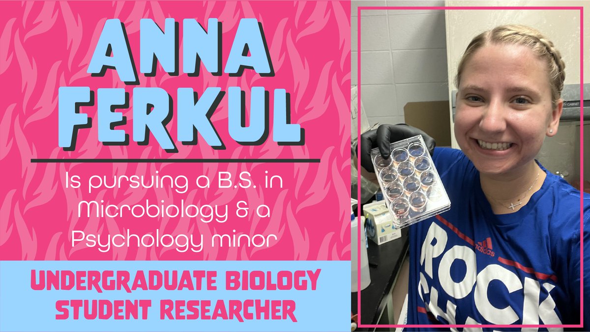 KUbiology's tweet photo. Meet @annaferkul , she's an Undergraduate Biology Student   Researcher &amp; has been doing amazing work in Dr. Davido's Lab! Part 1 of 2.
Read the interview transcript https://t.co/ZQVguo4Wqi https://t.co/ve1INji5CE