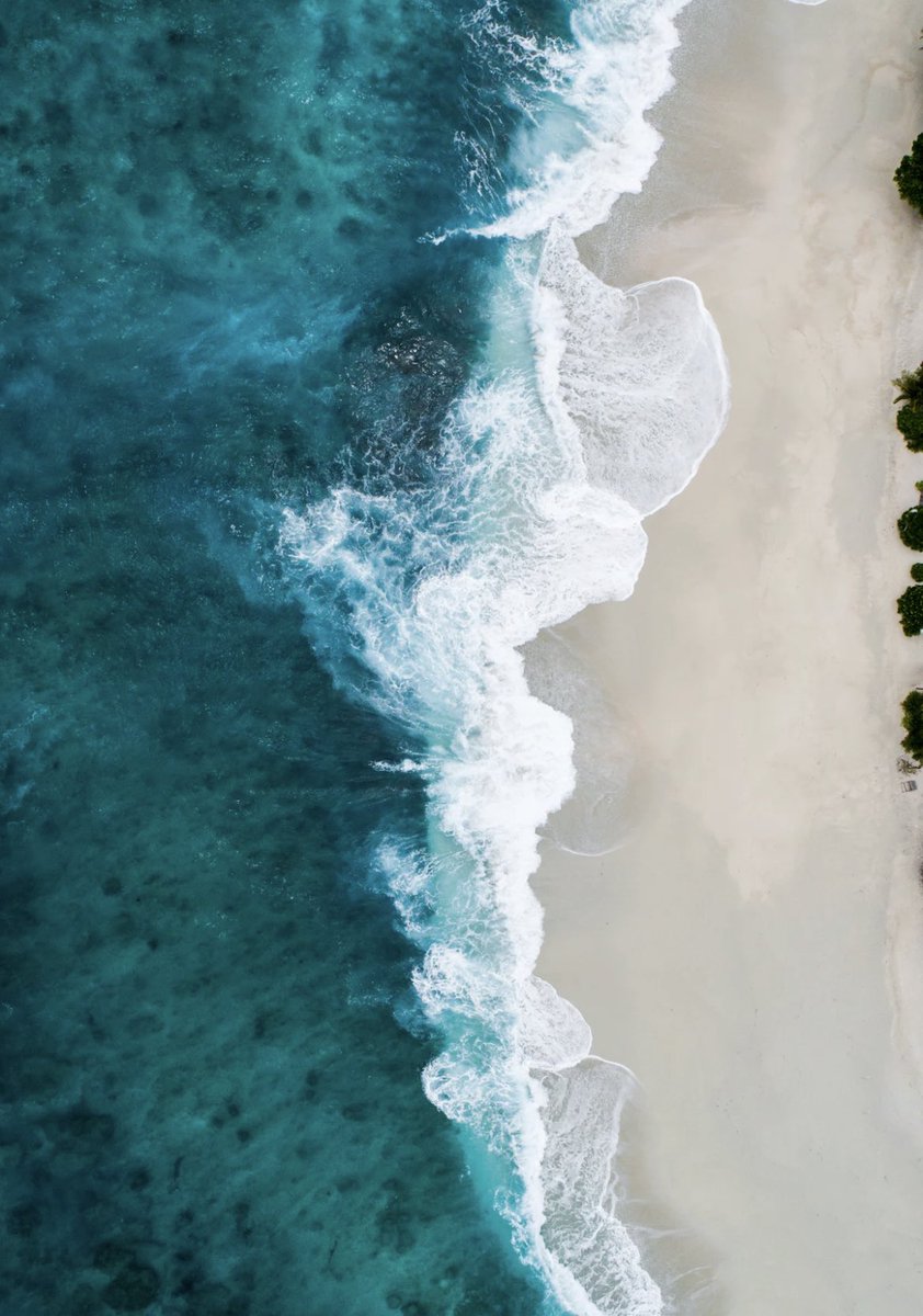 filetica's tweet image. Hello everyone! ✈️ I'm stepping away from the digital world for a while to enjoy some vacation time. 🏖️
It's important to unplug and recharge. What's your favorite way to relax during your vacations? Share your best getaway tips! #Filetica #VacationMode #Unplugged #Recharge #Join